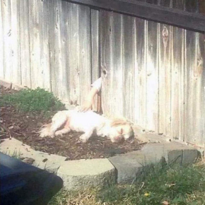 Позитивные картинки на dosuga.net