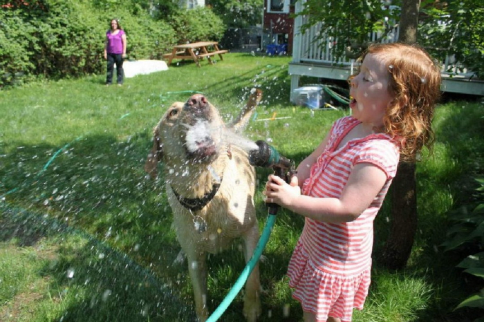 Позитивные картинки на dosuga.net