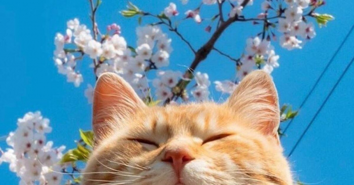 С последним днём весны 31 мая - красивые открытки