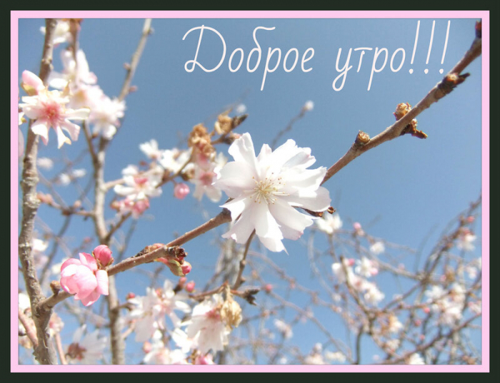 С последним днём весны 31 мая - красивые открытки