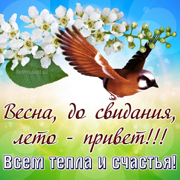 С последним днём весны 31 мая - красивые открытки