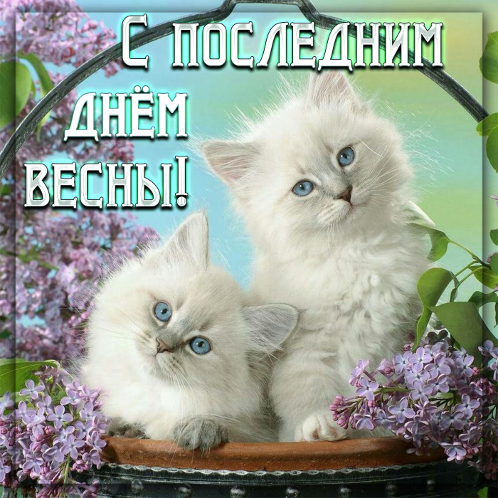 С последним днём весны 31 мая - красивые открытки