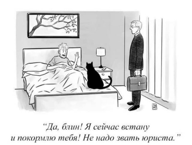 Смешные картинки с надписями - Отборный юмор