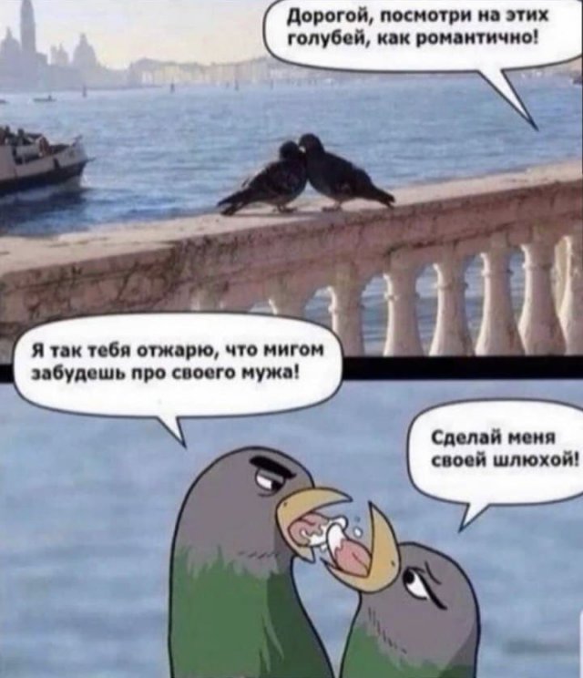 Смешные картинки с надписями - Отборный юмор