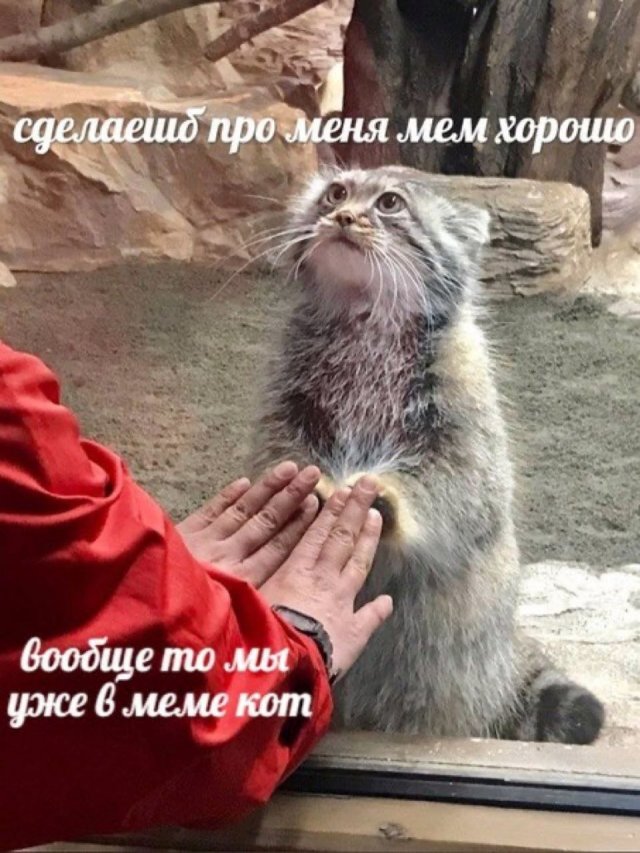 Смешные картинки с надписями - Отборный юмор