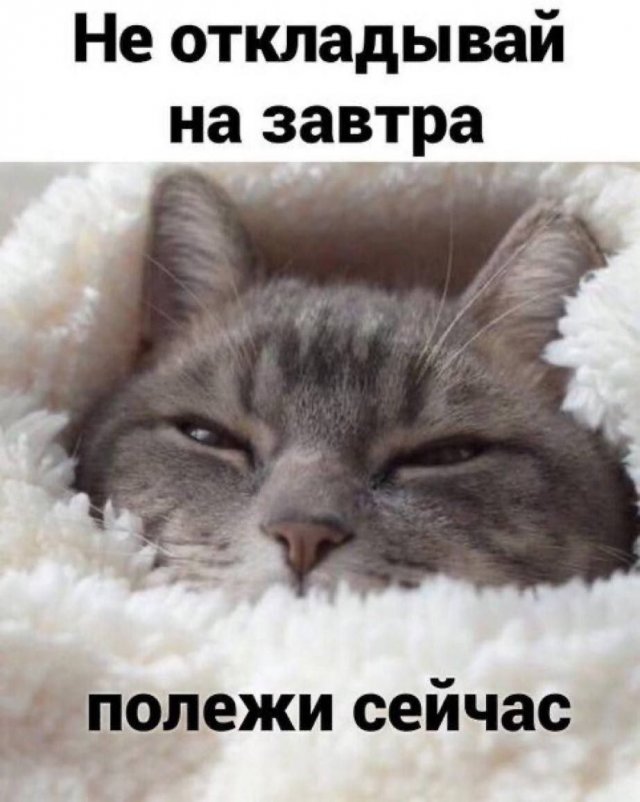 Смешные картинки с надписями - Отборный юмор