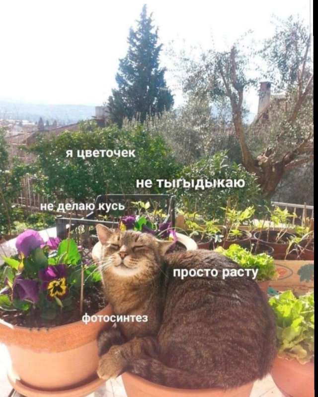 Смешные картинки с надписями - Отборный юмор