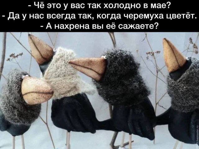 Смешные картинки с надписями - Отборный юмор