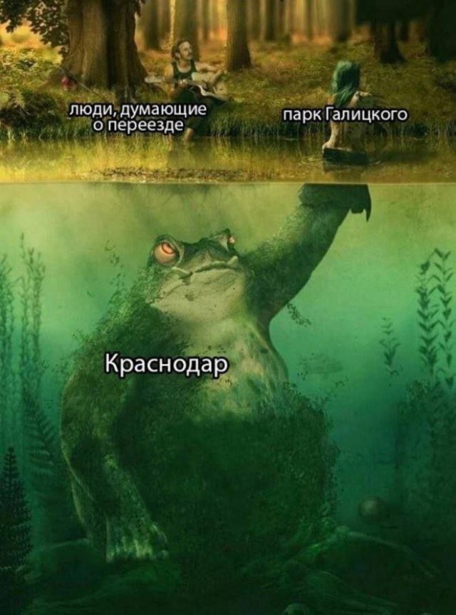 Смешные картинки с надписями - Отборный юмор