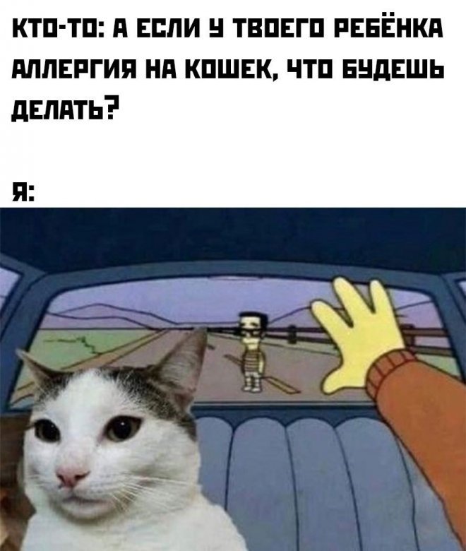 Смешные картинки с надписями - Отборный юмор