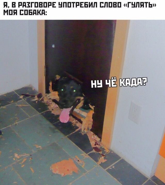 Смешные картинки с надписями - Отборный юмор