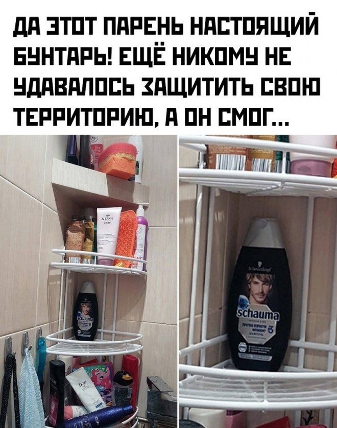 Смешные картинки с надписями - Отборный юмор