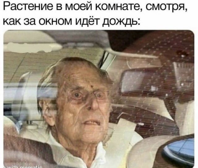 Смешные картинки с надписями - Отборный юмор