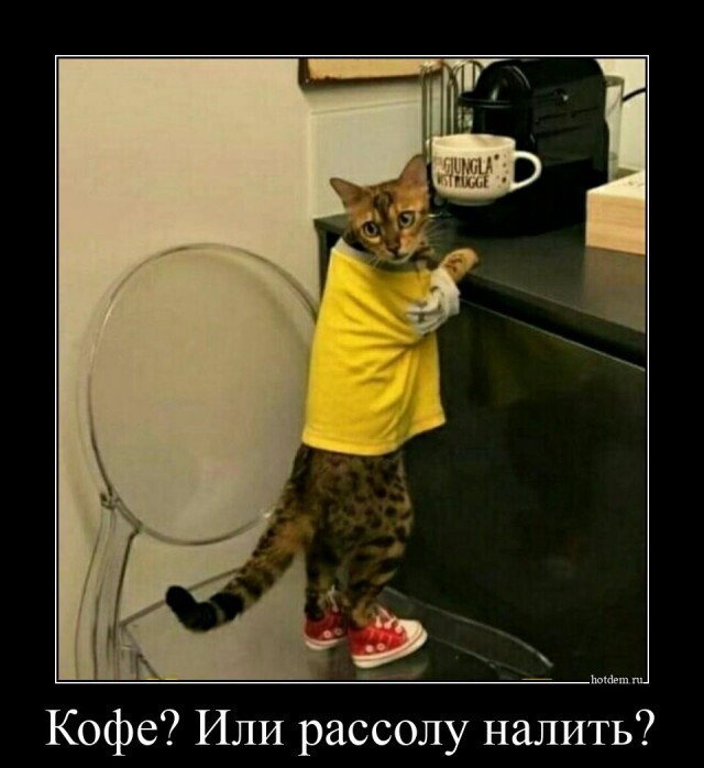 Смешные приколы и юмор про Алкоголь