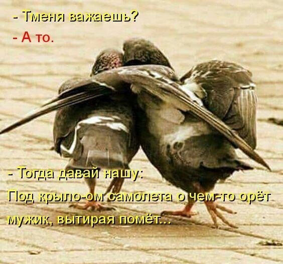 Смешные приколы и юмор про Алкоголь