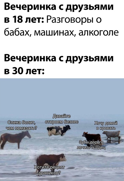 Смешные приколы и юмор про Алкоголь