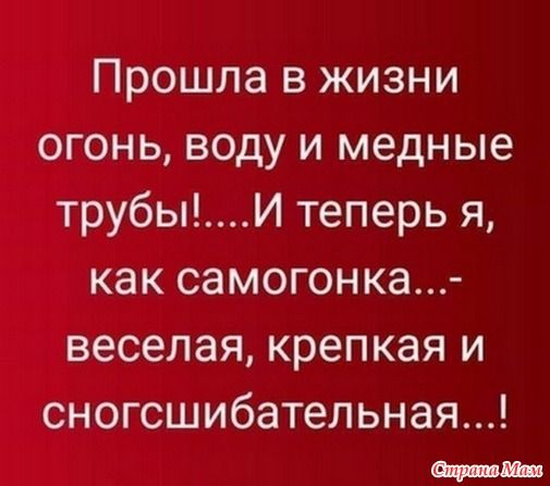 Смешные приколы и юмор про Алкоголь
