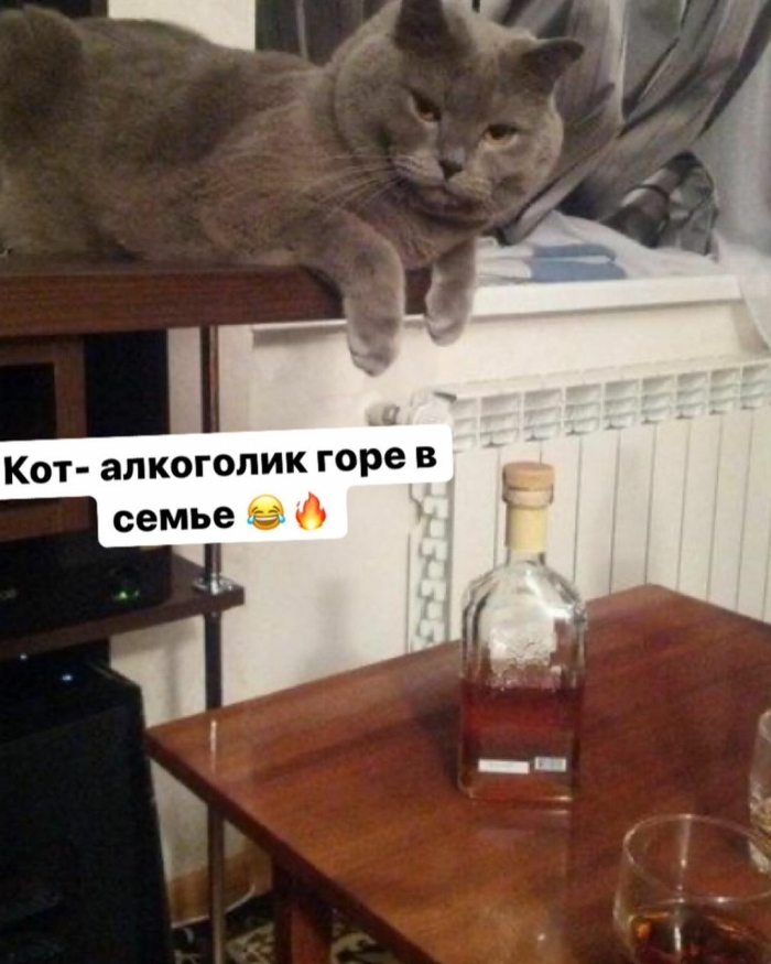 Юмор про Алкоголь