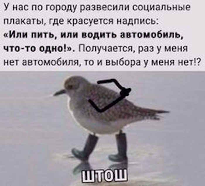 Юмор про Алкоголь