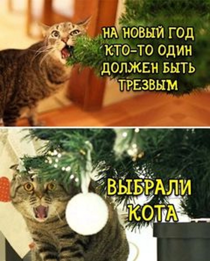 Юмор про Алкоголь