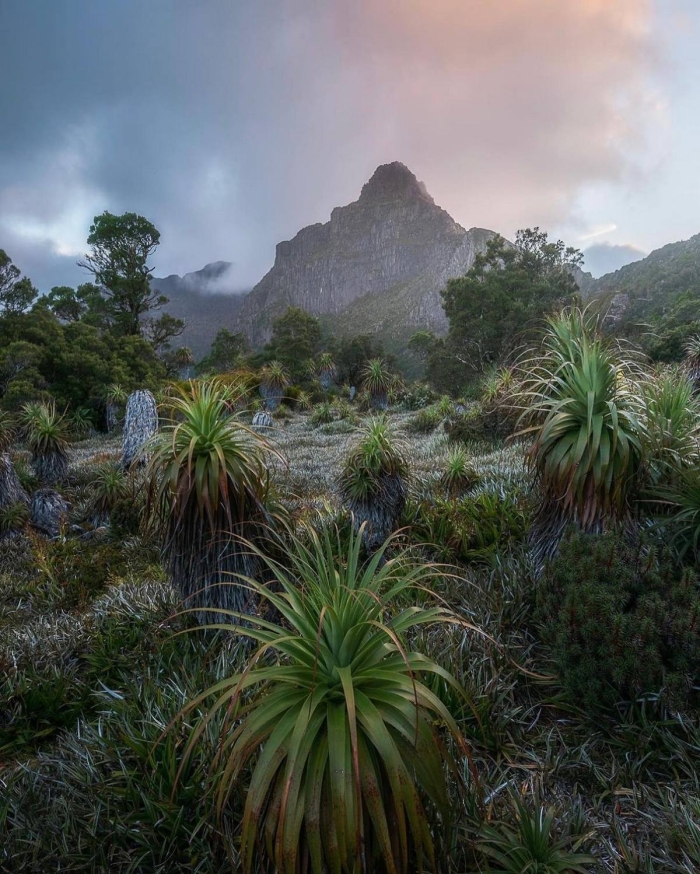Австралия - самые красивые фото