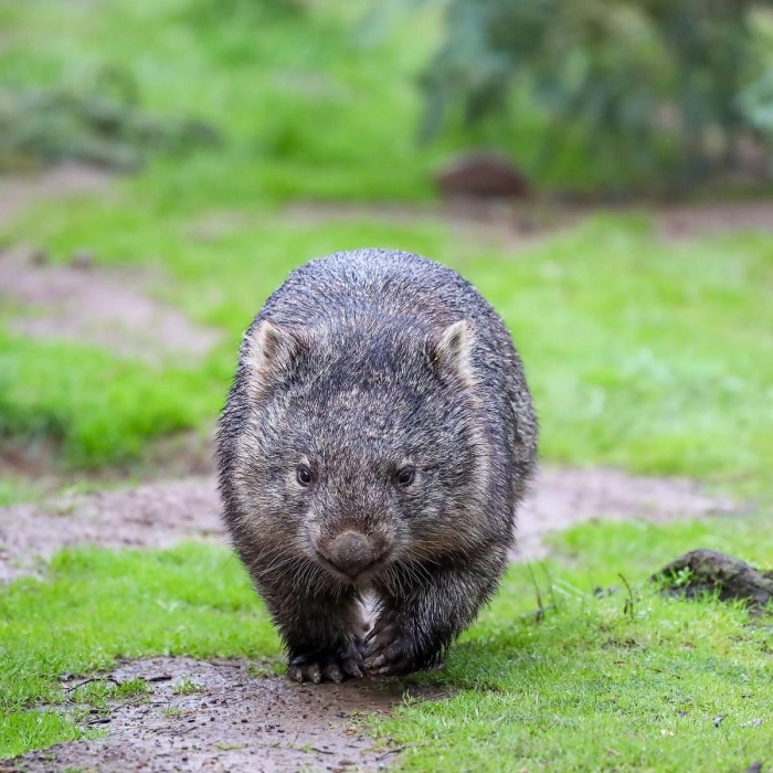 Австралия - самые красивые фото