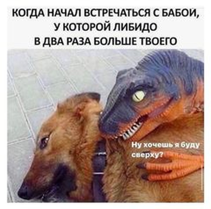 Пошлый юмор для взрослых - Мемы, Картинки, Фото