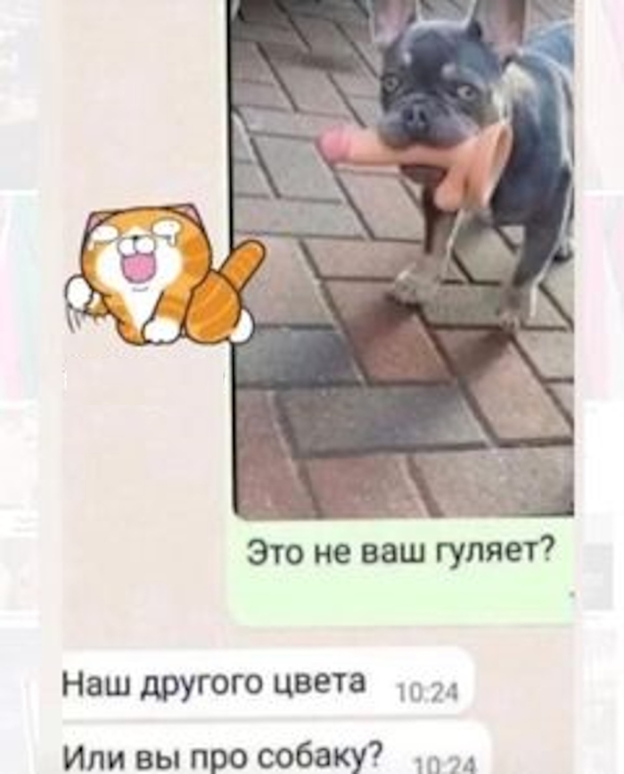 Пошлый юмор для взрослых - Мемы, Картинки, Фото