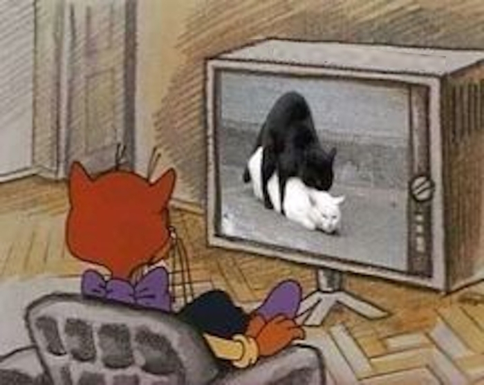 Пошлый юмор для взрослых - Мемы, Картинки, Фото