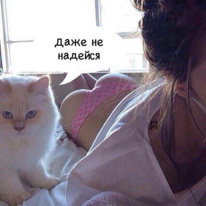 Пошлый юмор для взрослых - Мемы, Картинки, Фото