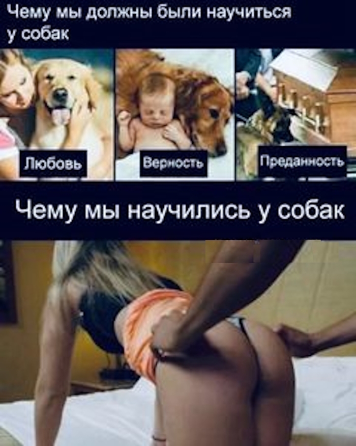 Пошлый юмор для взрослых - Мемы, Картинки, Фото