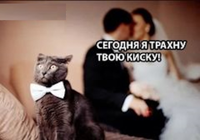 Пошлый юмор для взрослых - Мемы, Картинки, Фото