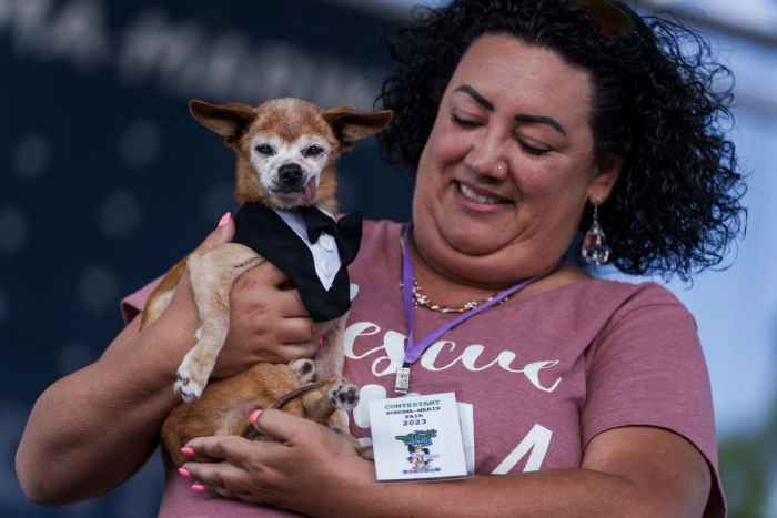 В США выбрали самого уродливого пса