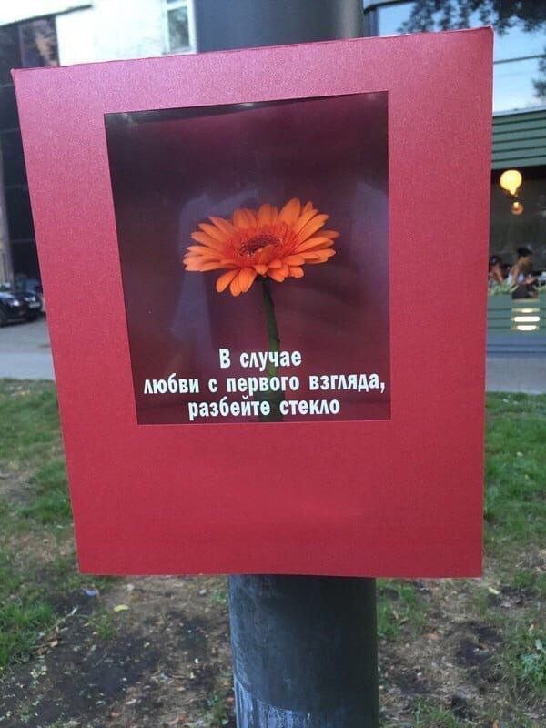 Смешные картинки с надписями - лучшие Мемы