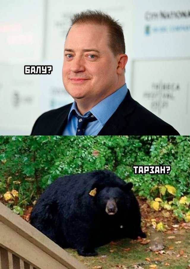 Смешные картинки с надписями - лучшие Мемы