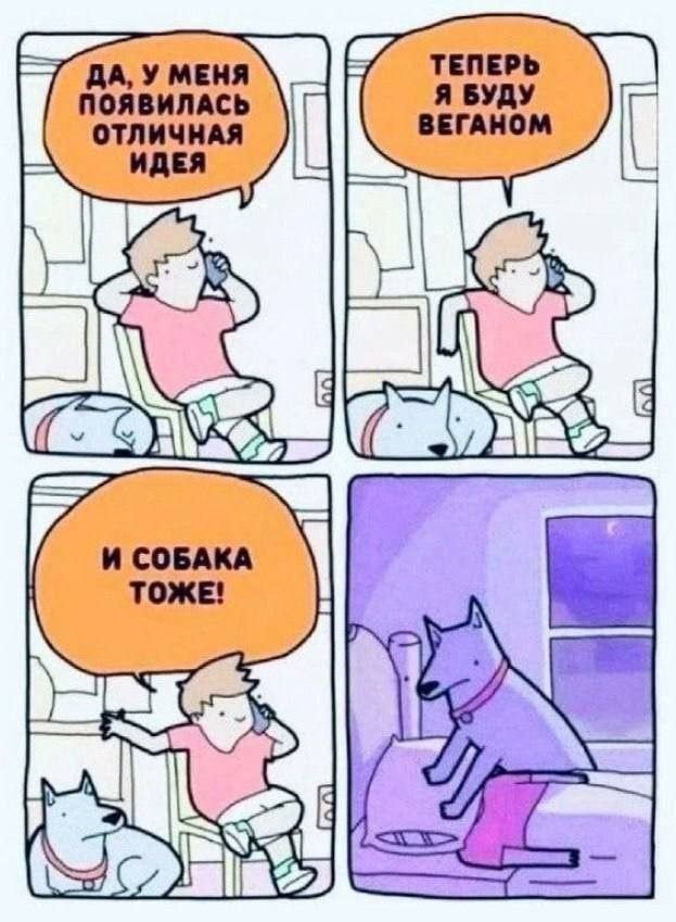 Смешные картинки с надписями - лучшие Мемы