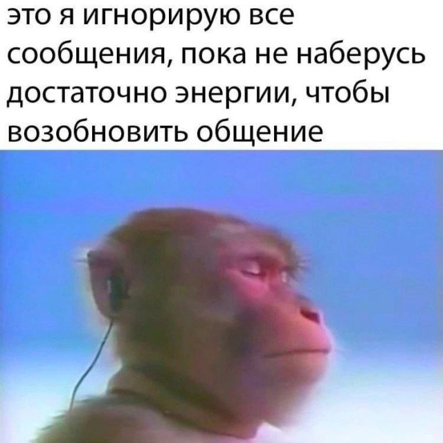 Смешные картинки с надписями - лучшие Мемы