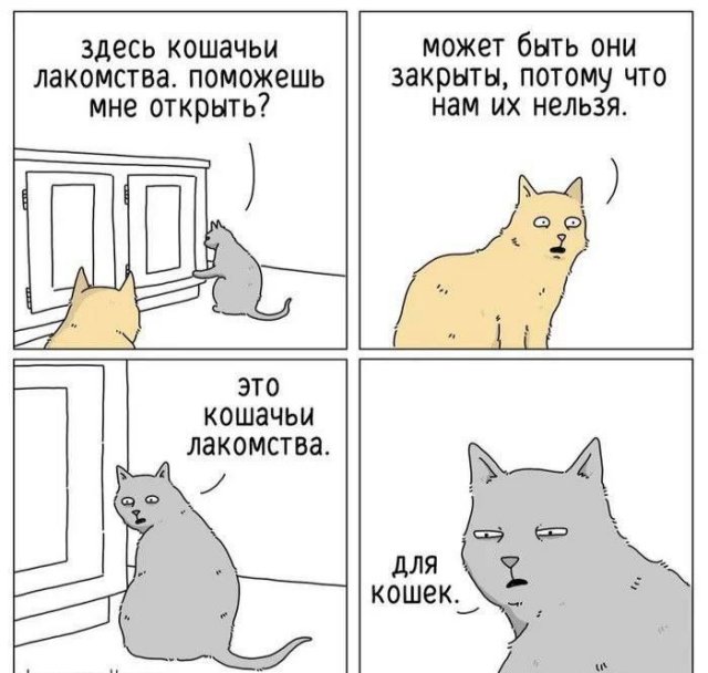 Смешные картинки с надписями - лучшие Мемы