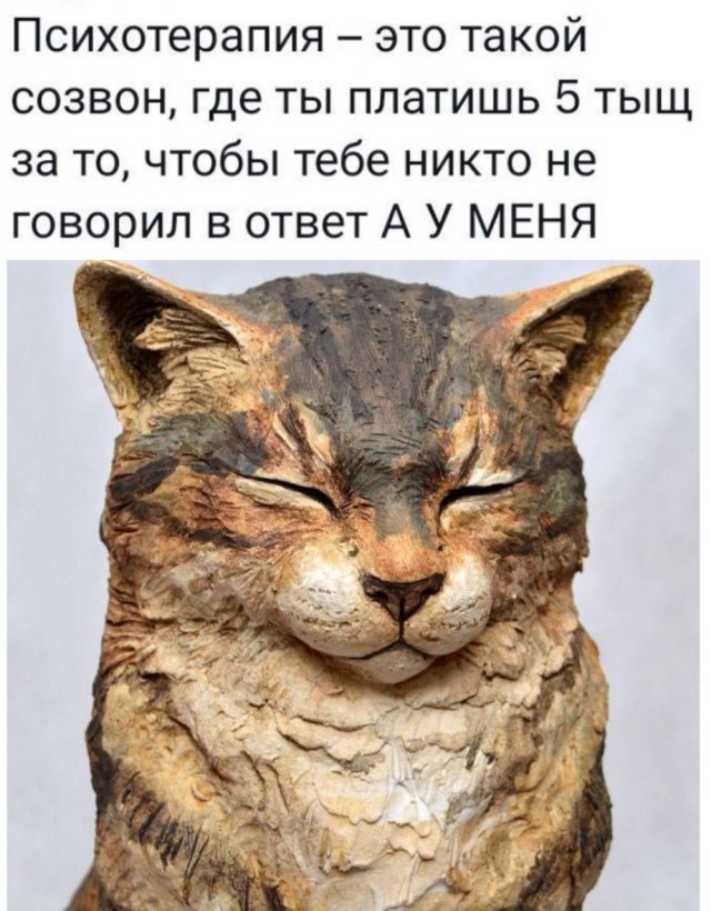 Смешные картинки с надписями - лучшие Мемы