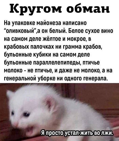 Смешные картинки с надписями - лучшие Мемы