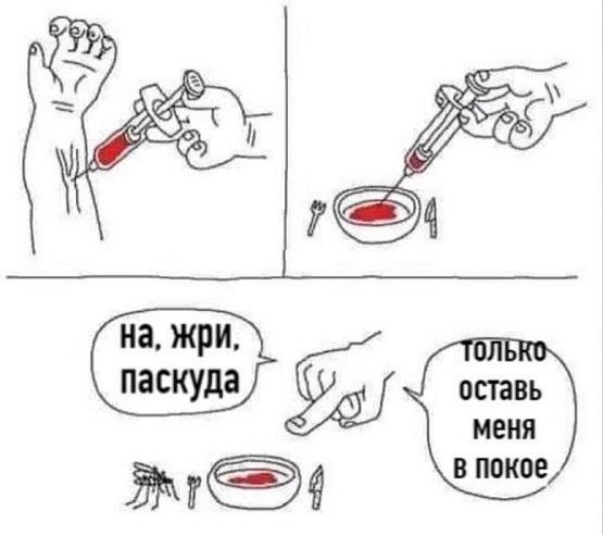 Смешные картинки с надписями - лучшие Мемы