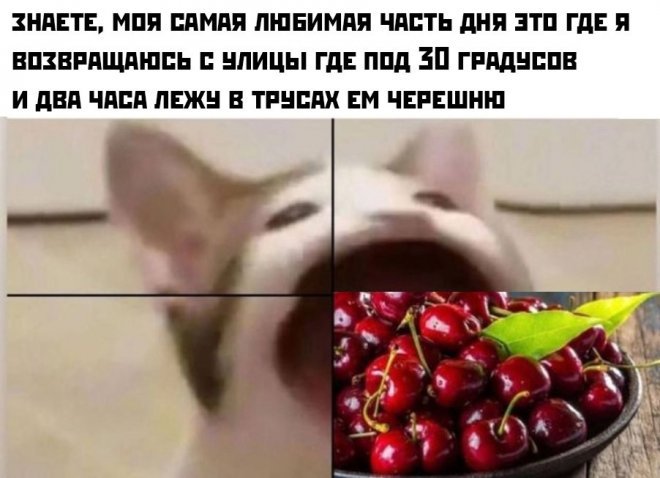 Смешные картинки с надписями - лучшие Мемы