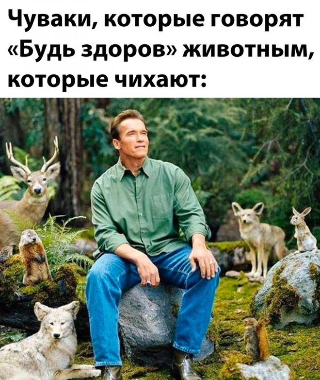 Смешные картинки с надписями - лучшие Мемы