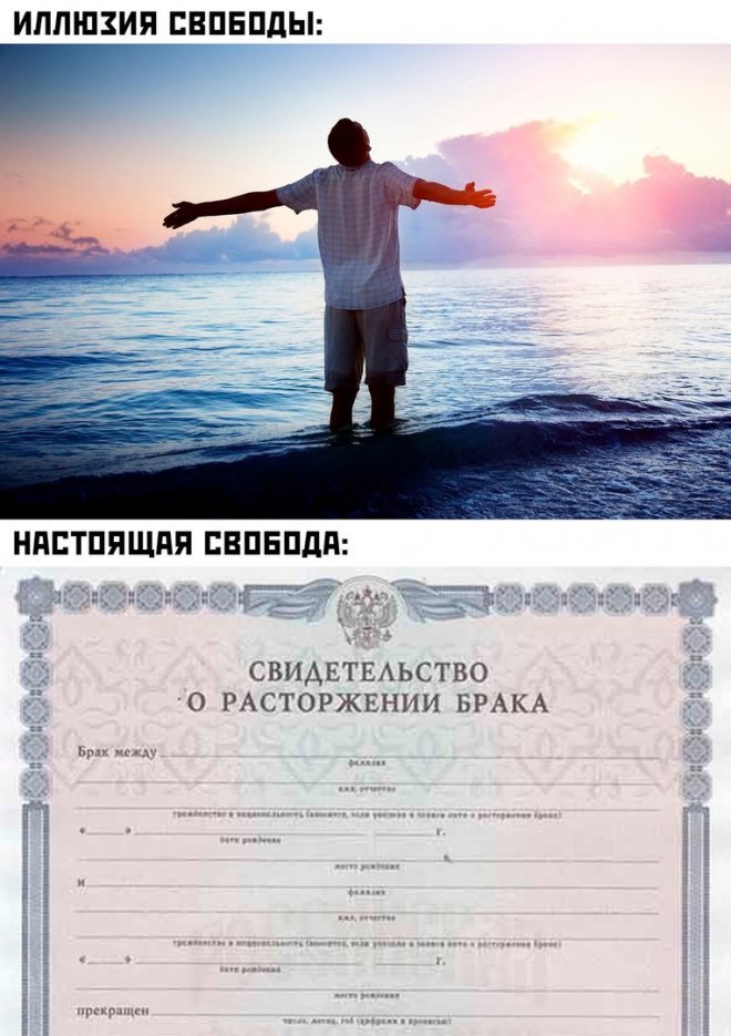 Смешные картинки с надписями - лучшие Мемы