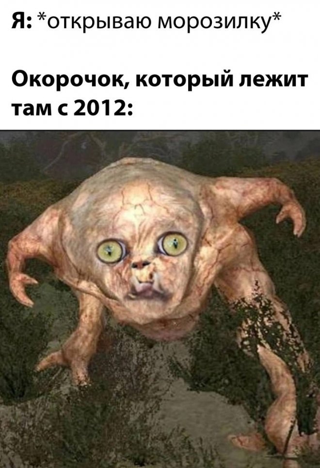 Смешные картинки с надписями - лучшие Мемы