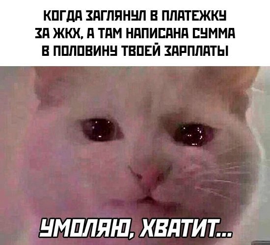 Смешные картинки с надписями - лучшие Мемы