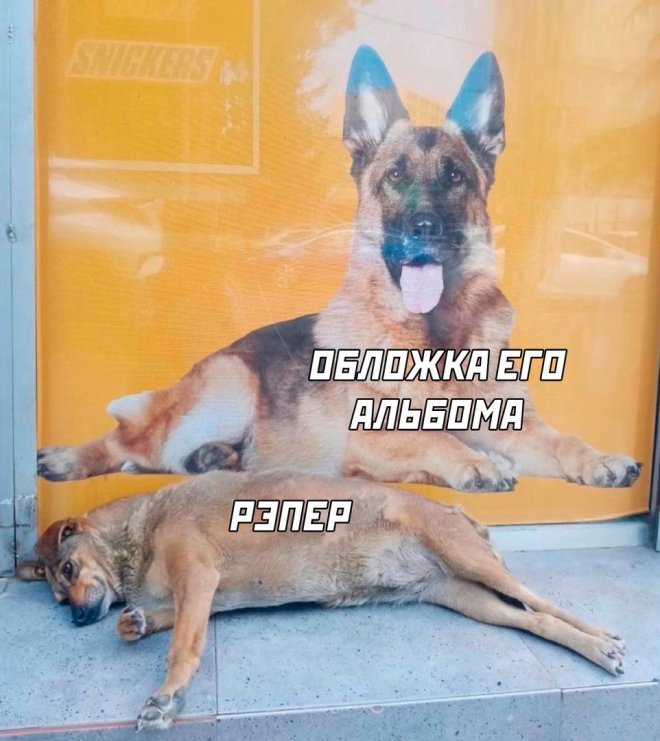 Смешные картинки с надписями - лучшие Мемы