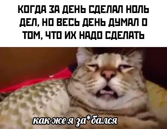 Смешные картинки с надписями - лучшие Мемы