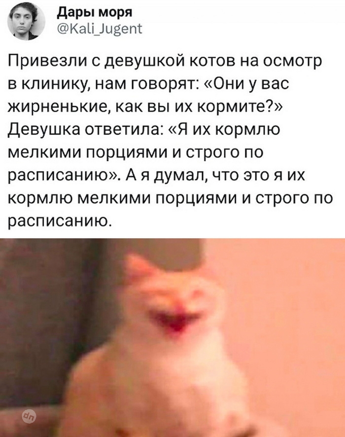 Смешные комментария - диванные войска