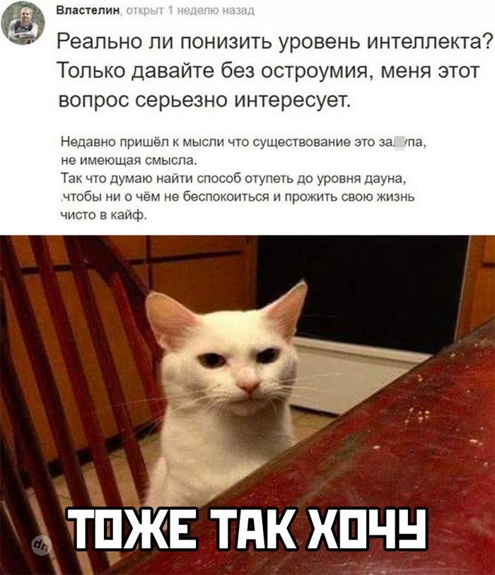 Смешные комментария - диванные войска